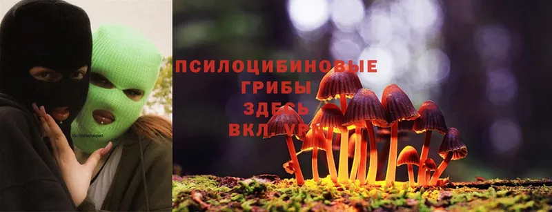 Галлюциногенные грибы MAGIC MUSHROOMS  Кыштым 